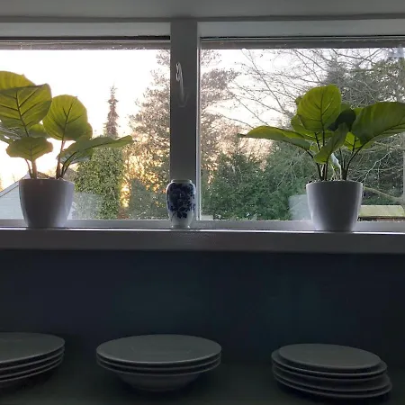 Reset Garden House Centrum